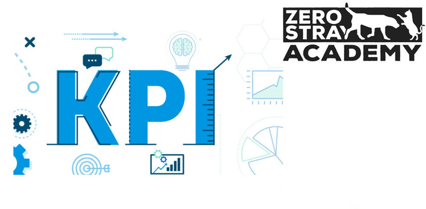 10 - Δείκτες απόδοσης (KPIs)