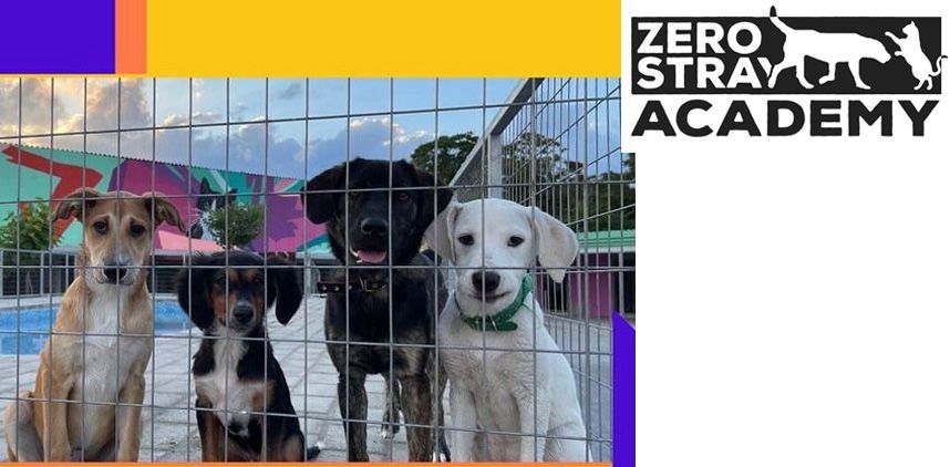 19 - Δημιουργία και λειτουργία καταφυγίου βάσει του Ν.4830/2021