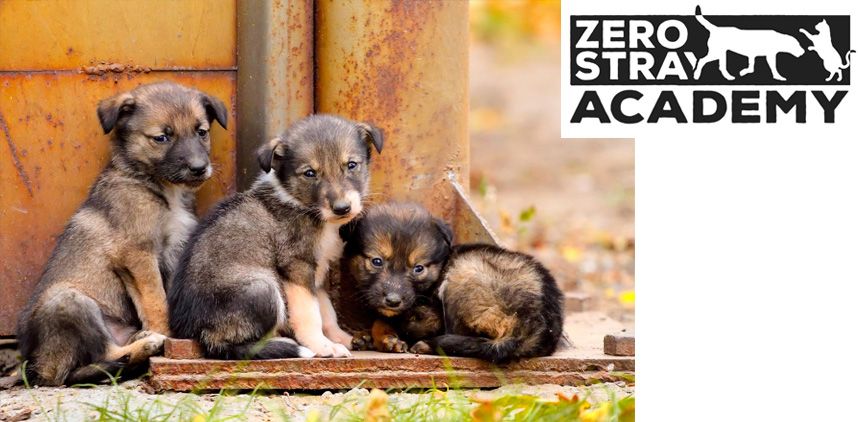 02 - Υιοθεσίες: Καλές πρακτικές - Traces