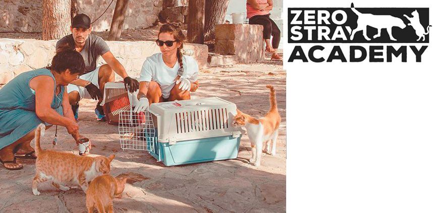 11 - Trap, neuter, return: Από τη θεωρία στην πράξη