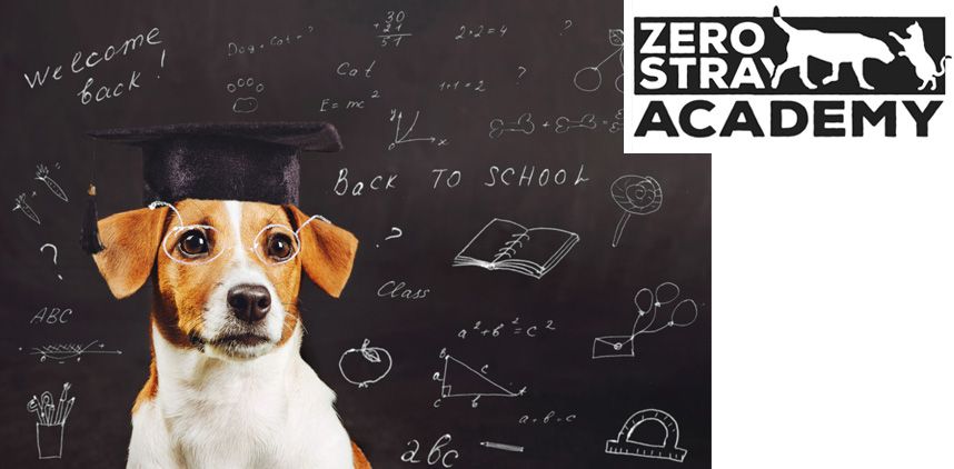 15 - Η φιλοζωία ξεκινά από τα σχολεία