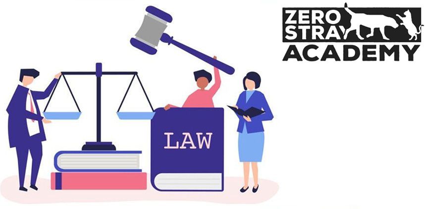 04 - Ευρωπαϊκή νομοθεσία για τα ζώα συντροφιάς