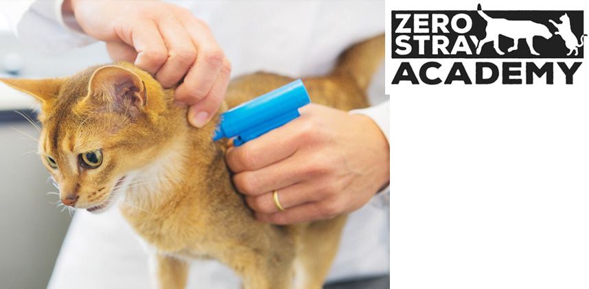 09 - Η σημασία της ηλεκτρονικής σήμανσης